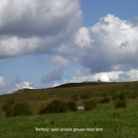 Territory: open access grouse moor land